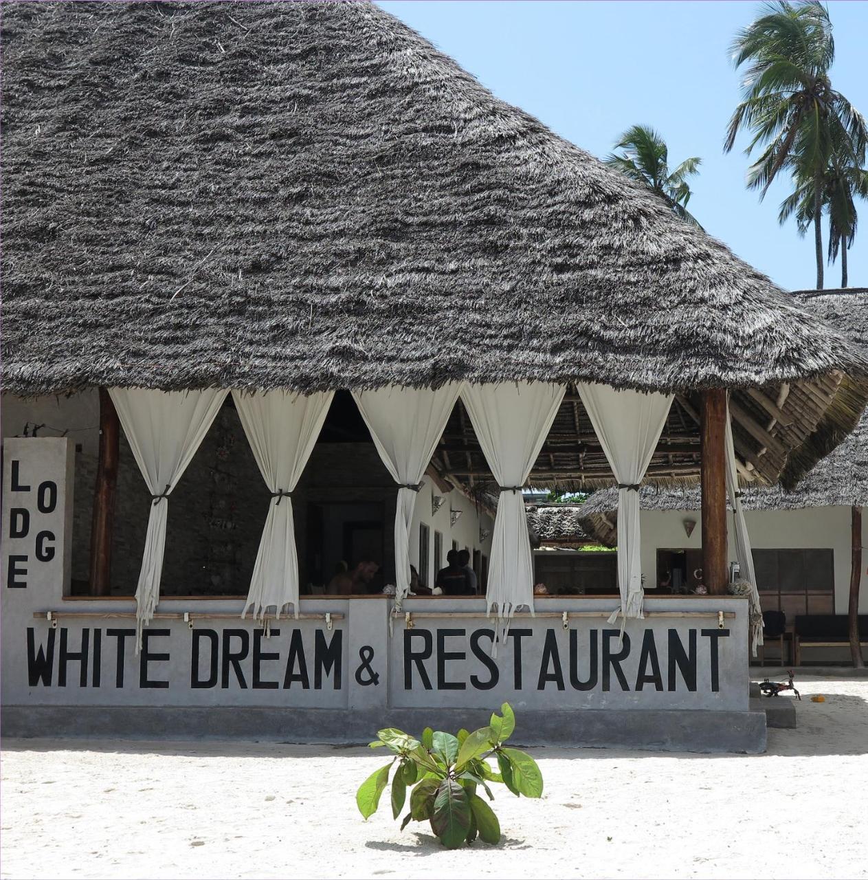 White Dream Bed & Breakfast Kiwengwa  Ngoại thất bức ảnh